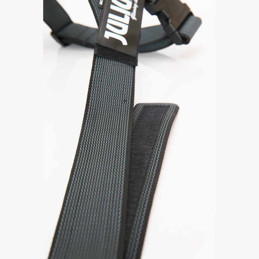 Arn&eacute;s Julius K9 IDC Cinta Negro, , large Imagen numero 4